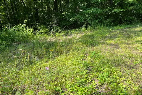 0 Red Pine Road, ON K0H 2B0