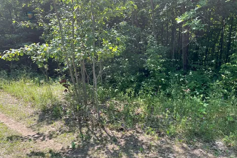 0 Red Pine Road, ON K0H 2B0