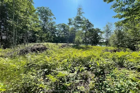 00 Olmstead-Jeffrey Lake Road, ON K0J 1Y0