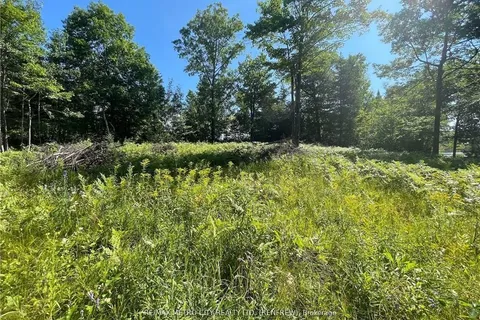 00 Olmstead-Jeffrey Lake Road, ON K0J 1Y0