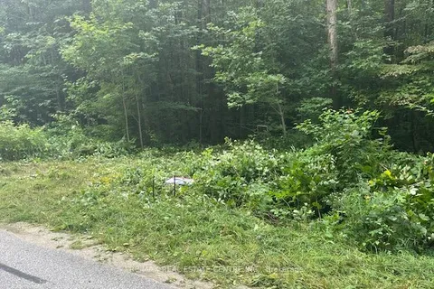 PT LT44 Chatsworth  24 Road, ON N0H 1R0