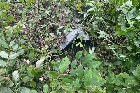 PT LT44 Chatsworth  24 Road, ON N0H 1R0