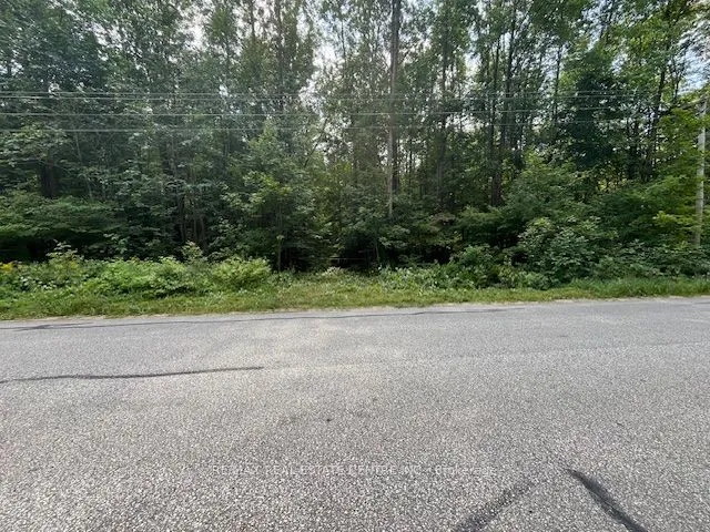 PT LT44 Chatsworth  24 Road, ON N0H 1R0