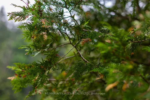 PT LT 1 CON 11 Road, ON K0G 1A0