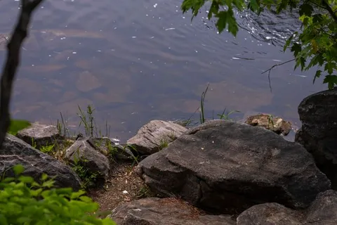 PT LT 1 CON 11 Road, ON K0G 1A0