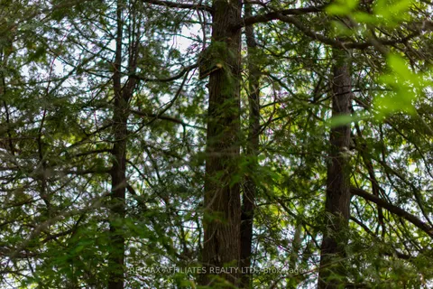 PT LT 1 CON 11 Road, ON K0G 1A0