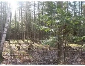 3110 Dunrobin Road, ON K0A 1T0