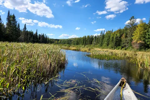 0 River Road, ON P0A 1X0