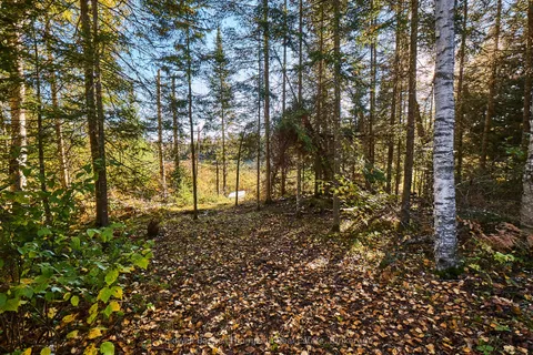 0 River Road, ON P0A 1X0