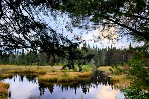 0 River Road, ON P0A 1X0