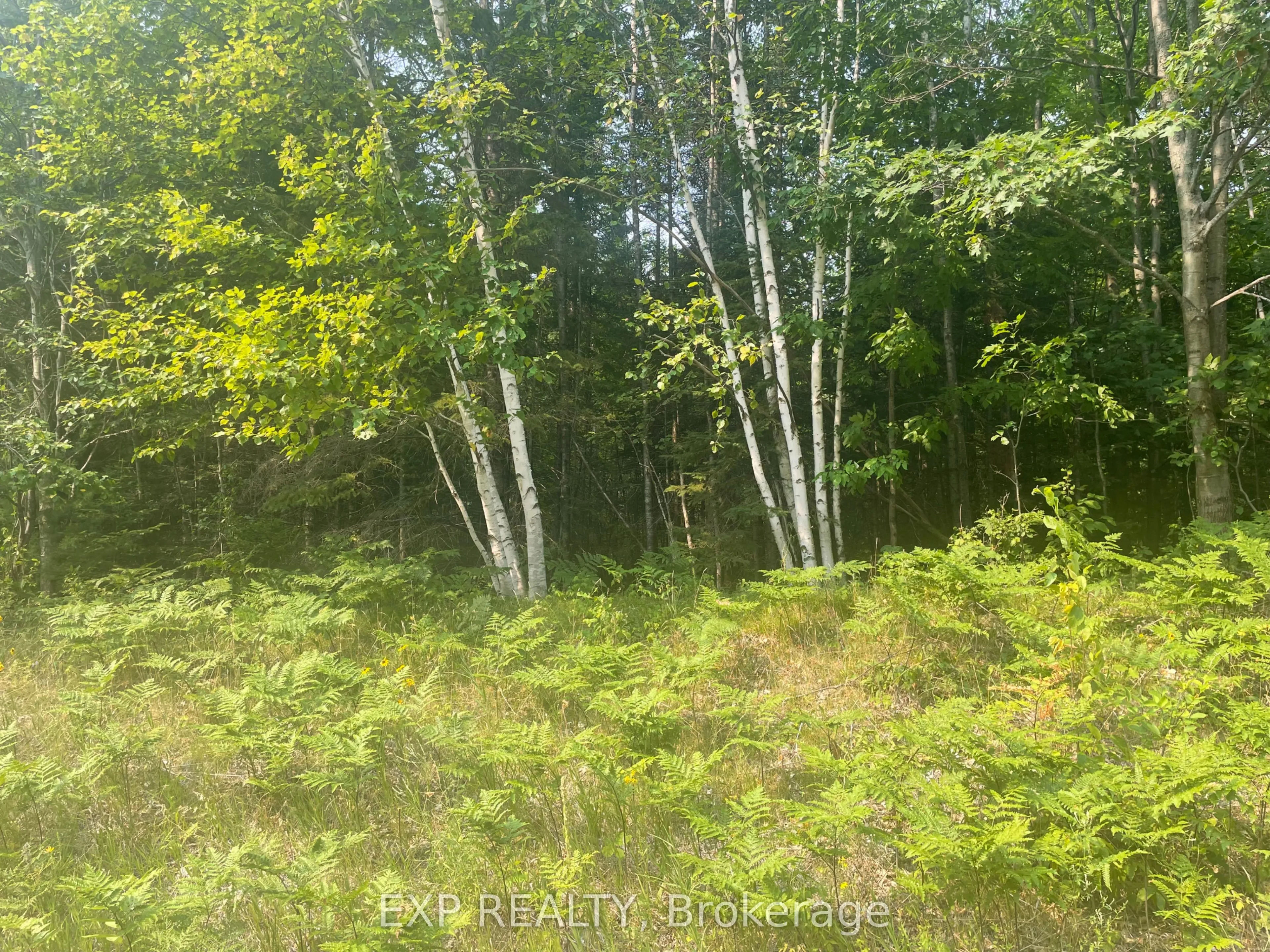 1571 Schutt Road, ON K0J 2E0