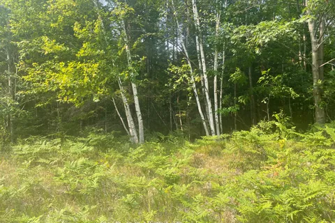 1571 Schutt Road, ON K0J 2E0