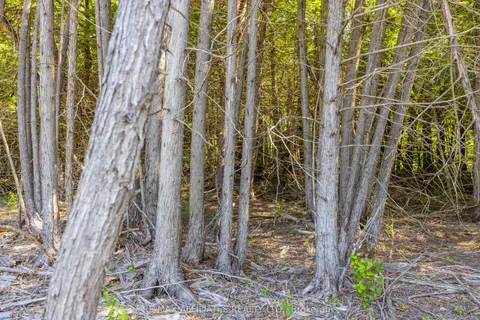 0 Bolton Road, ON K0G 1N0