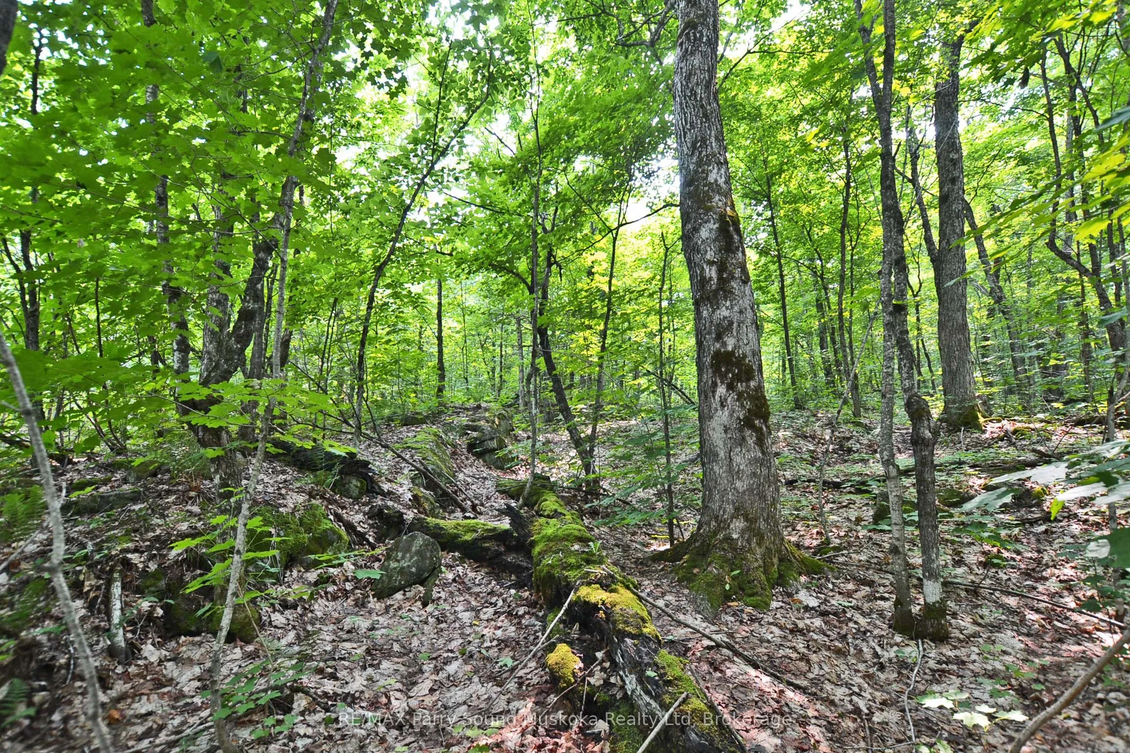 0 Lyndsey Lane, ON P2A 0B5