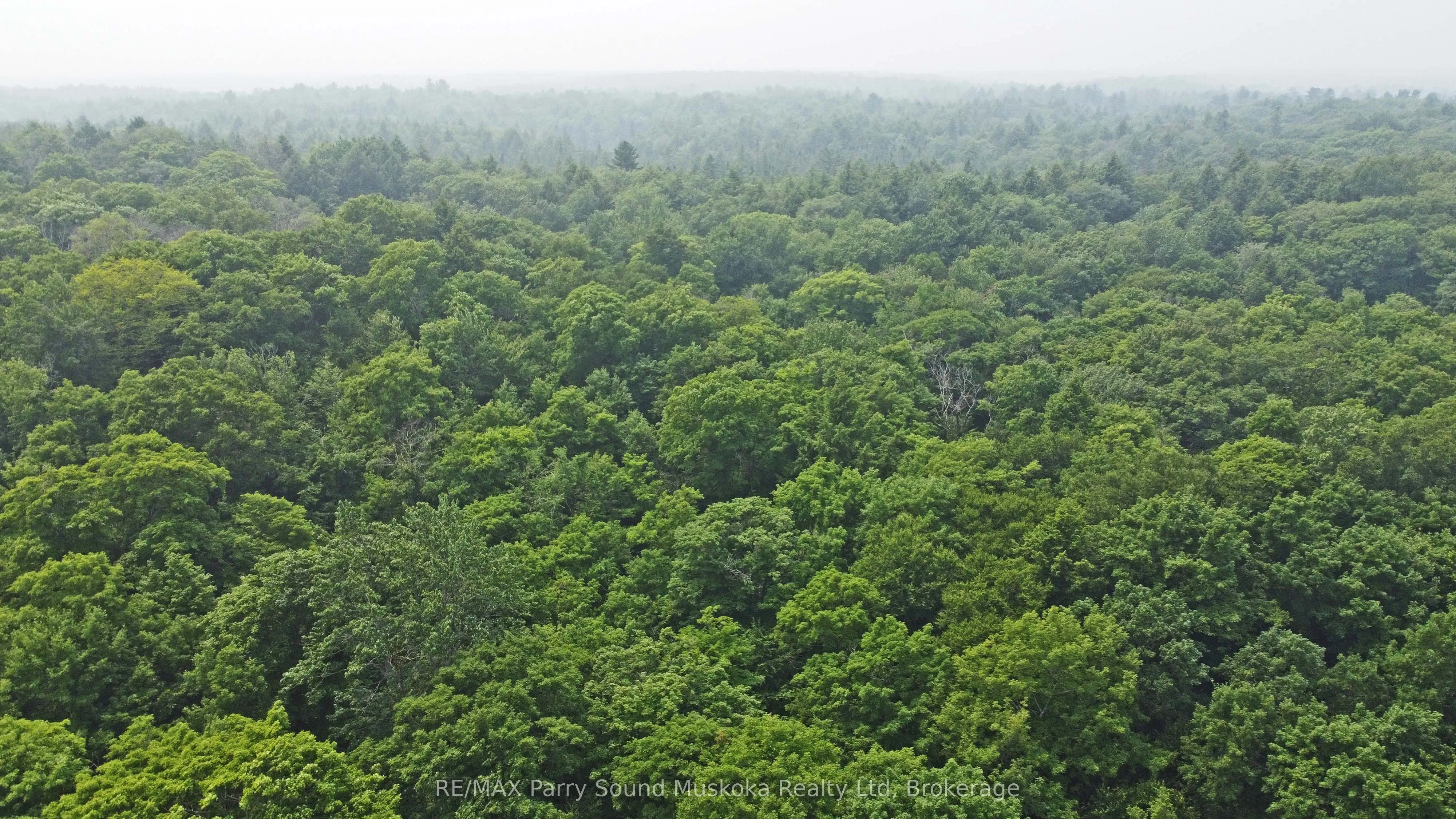 0 Lyndsey Lane, ON P2A 0B5