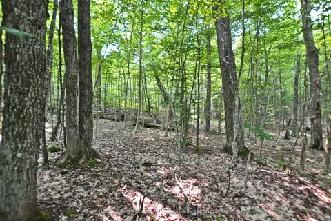 0 Lyndsey Lane, ON P2A 0B5