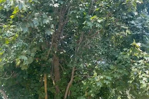 10 Alma Street, ON K0L 2W0