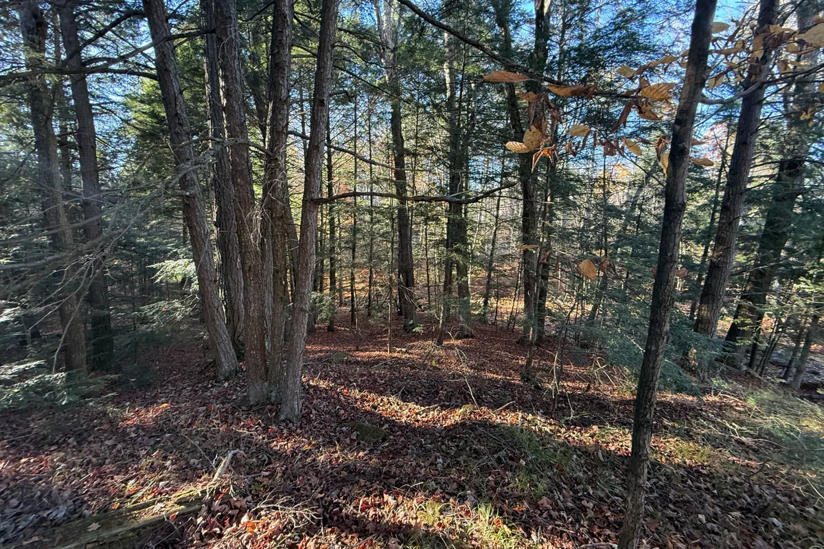 00 Hwy 62 N/A, ON K0K 2K0