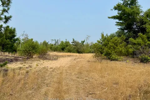 0 POTTER SETTLEMENT Road, ON K0K 3J0