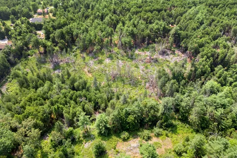 201 Dutch Line Road, ON K0M 2A0