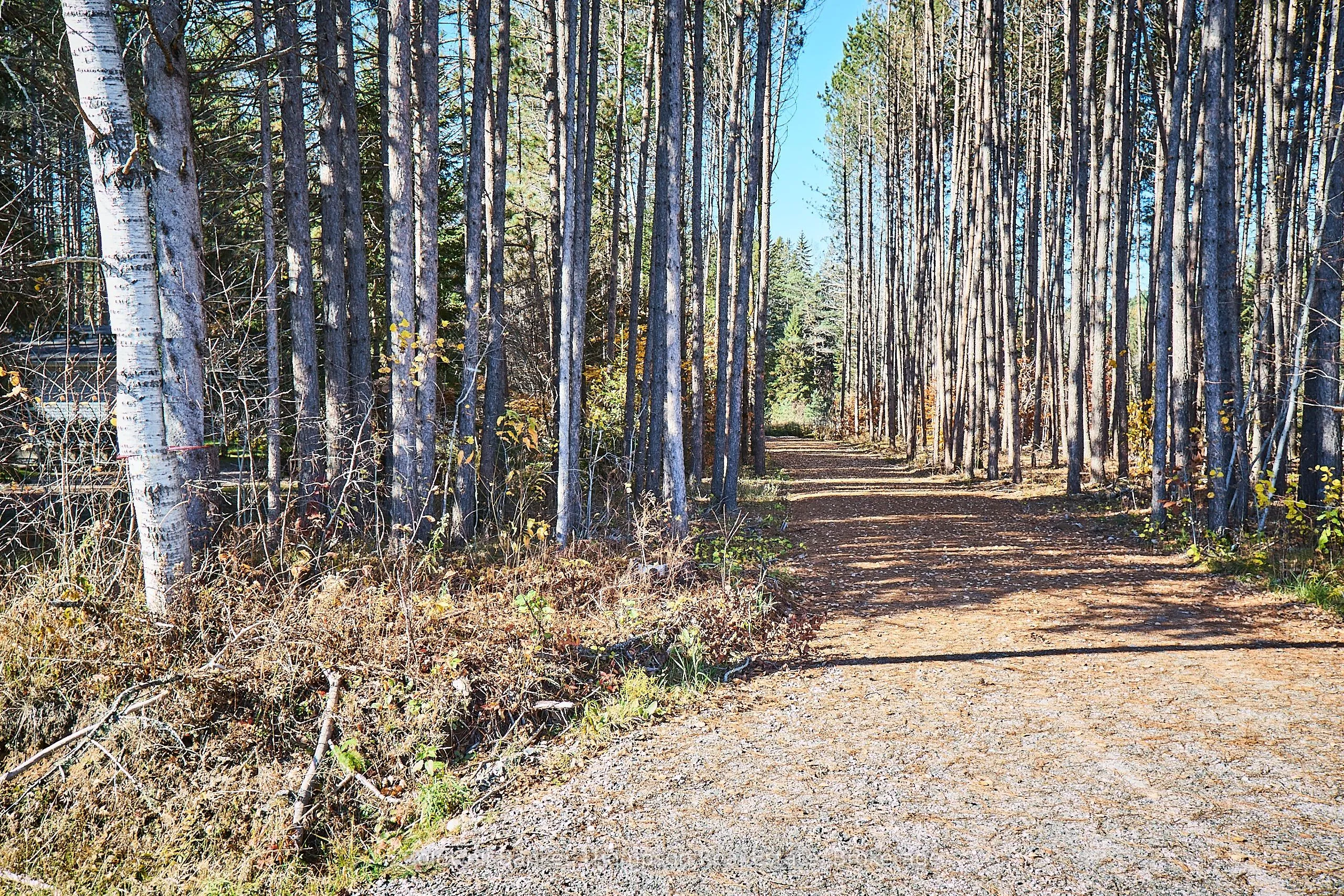 1304 OLD NORTH Road, ON P1H 2J4