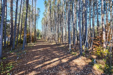 1304 OLD NORTH Road, ON P1H 2J4