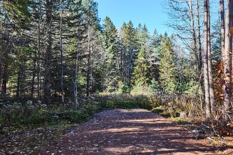 1304 OLD NORTH Road, ON P1H 2J4