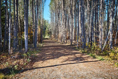 1304 OLD NORTH Road, ON P1H 2J4