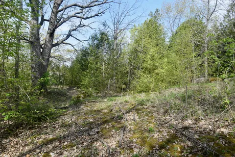 20B Ballantra Drive, ON K0K 3G0