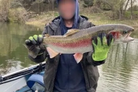 798213 3rd Line, ON L9V 0H7