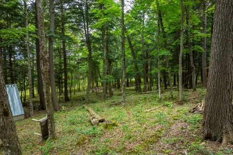 131 MOONWING Road, ON P0A 1A0