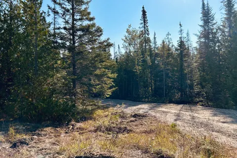 155 Bradley Drive, ON N0H 1Z0