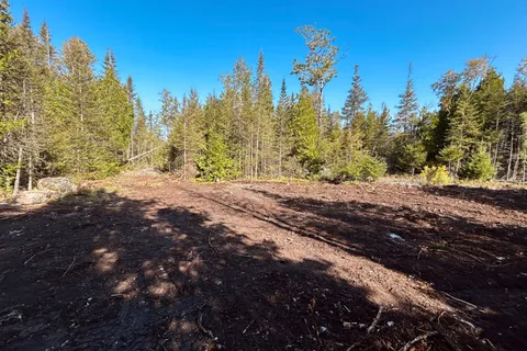 155 Bradley Drive, ON N0H 1Z0