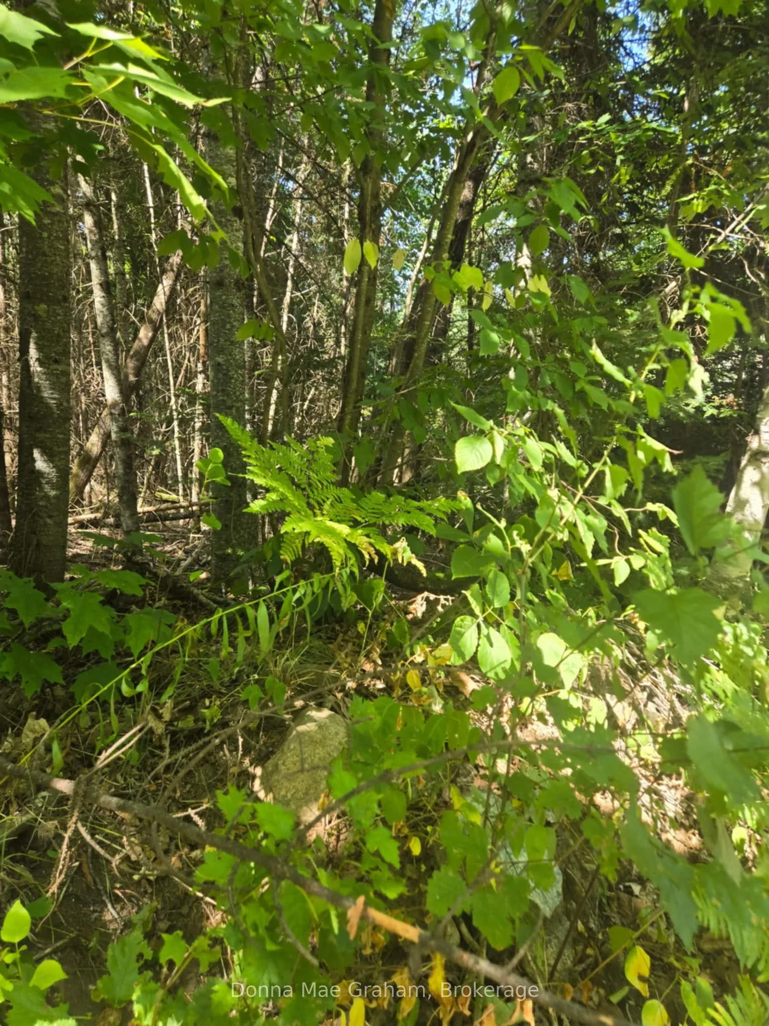 0 MacDuff Road Acres, ON K0L 3C0