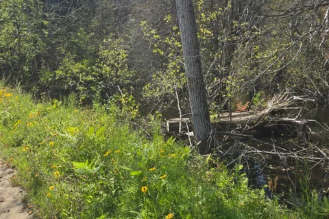 0 MacDuff Road Acres, ON K0L 3C0