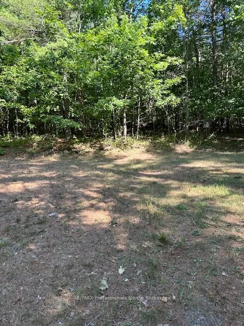 2875 County Road 21 Road, ON K0M 2K0