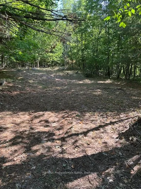 2875 County Road 21 Road, ON K0M 2K0