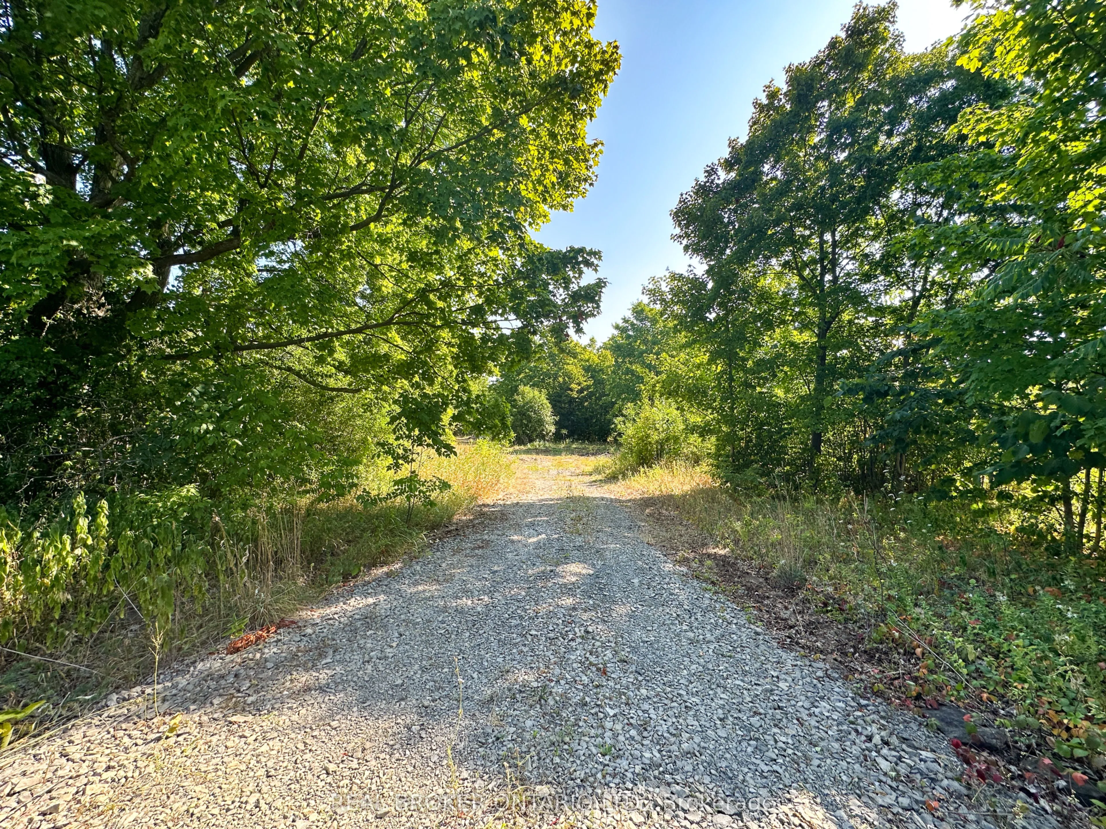 14391 County 15 Road, ON K0G 1N0