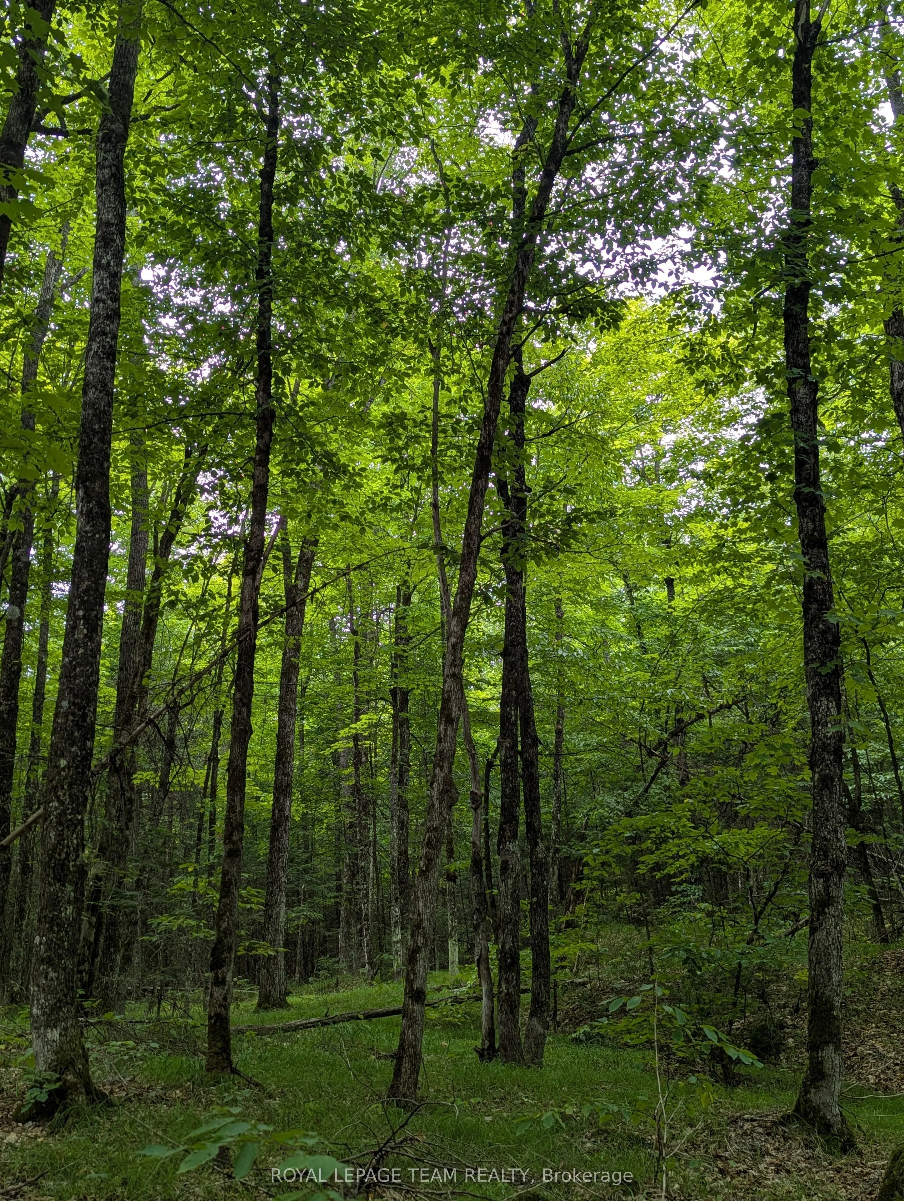 00 Triple Tower Road, ON K0G 1K0