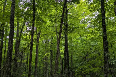 00 Triple Tower Road, ON K0G 1K0