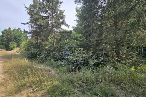 680 Mount Pleasant Road, ON P0H 2E0