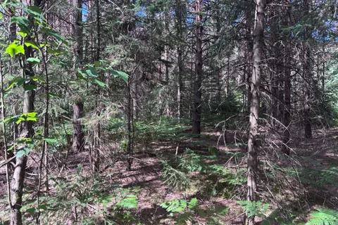 0 Barry Line Road, ON K0M 1S0