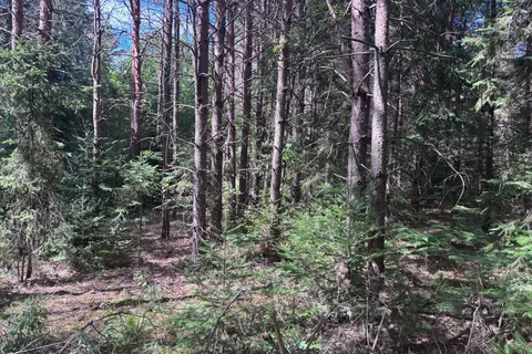 0 Barry Line Road, ON K0M 1S0