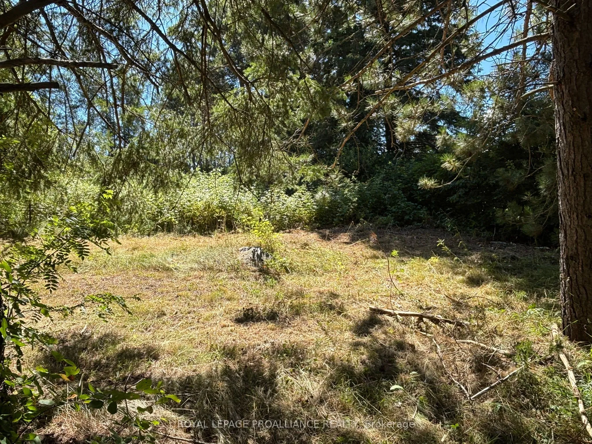 49 Second Avenue, ON K0J 2M0