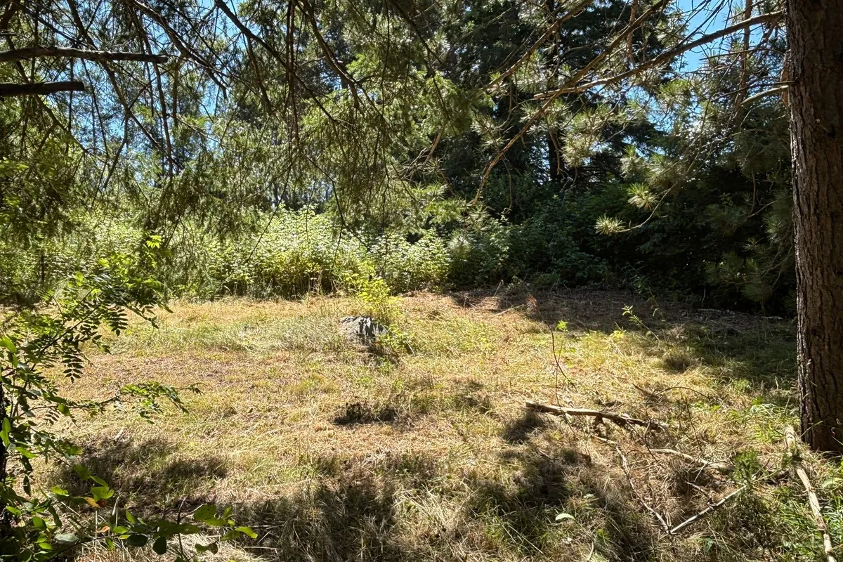 49 Second Avenue, ON K0J 2M0