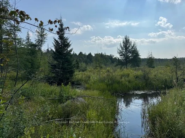 2613 Stisted Road, ON P0A 1Y0