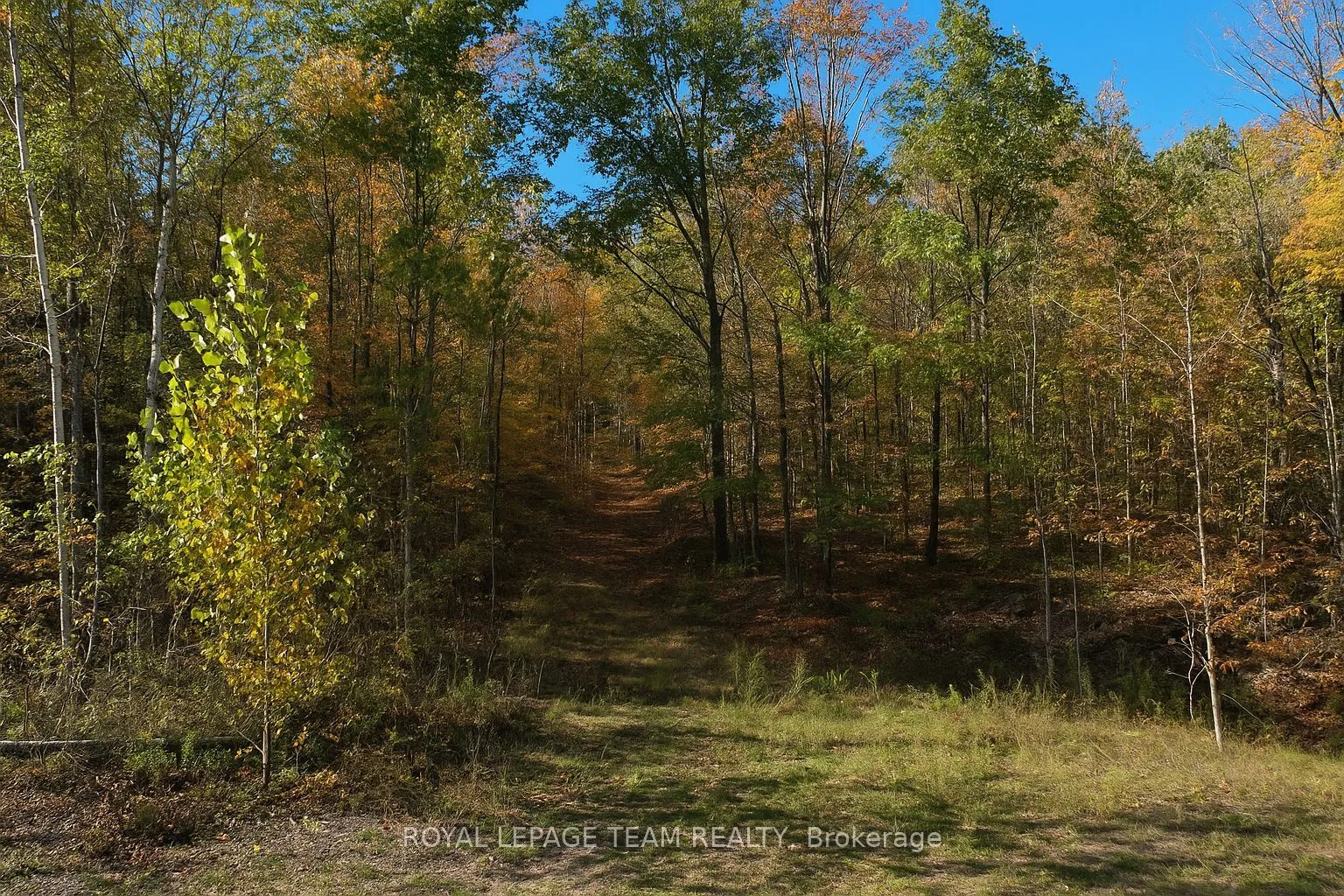 00 Maple Lane, ON K0H 2B0