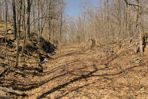 00 Maple Lane, ON K0H 2B0