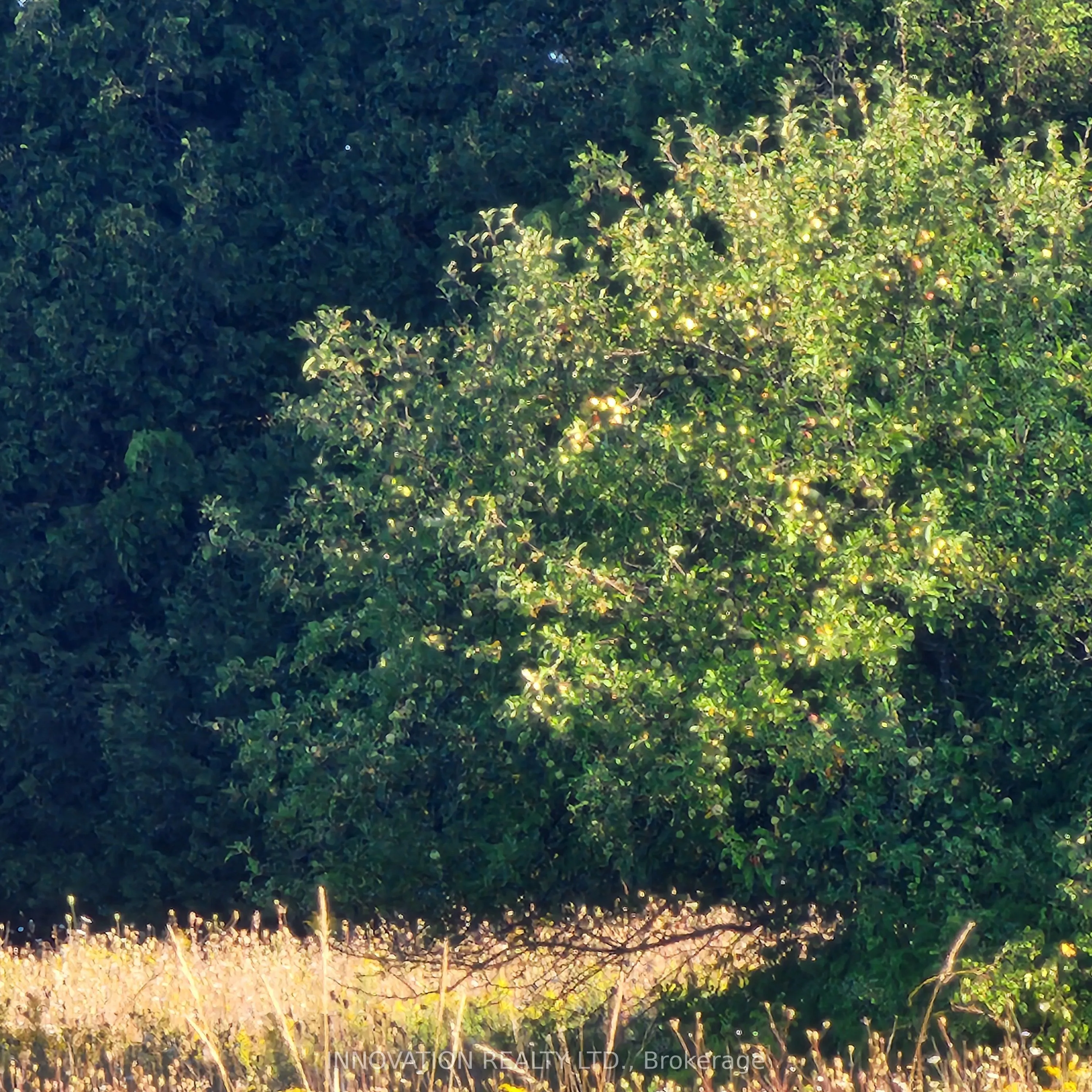 7020 Gallagher Road, ON K0A 2T0