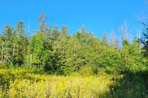 7020 Gallagher Road, ON K0A 2T0